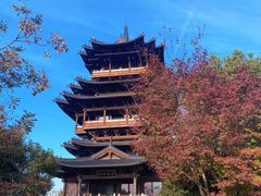 -杭州半山国家森林公园