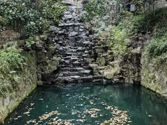 -十八棵（老龙井）御茶园(老龙井店)
