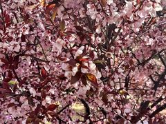 -石岛赤山风景区