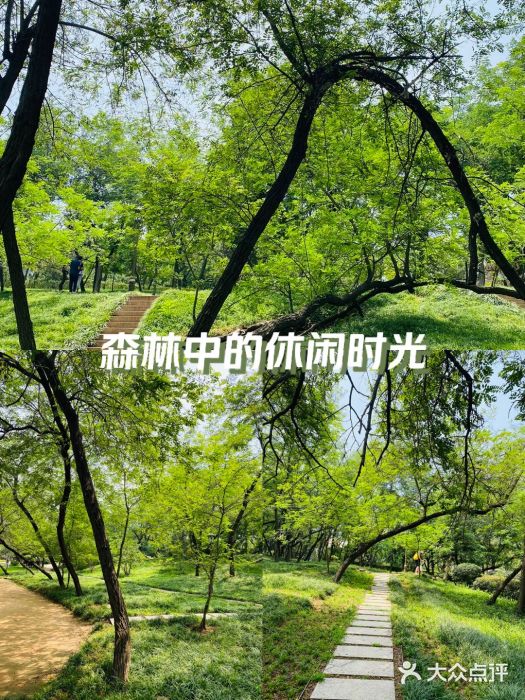 燕儿岛山公园图片