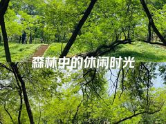 -燕儿岛山公园