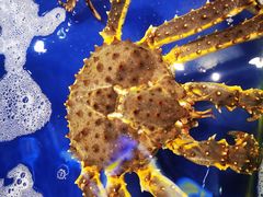 -三亚火车头万人海鲜广场