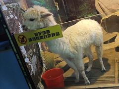 -苏州海洋馆