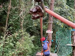 -芦仙山景区-飞越丛林探险乐园