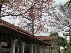 -喜洲吧·江畔老船厂·庭院餐厅(喜临院店)