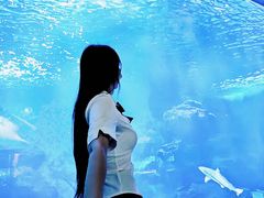 -多彩贵州城极地海洋世界