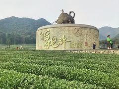 -龙坞茶村