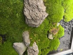 -华夏良子·足道SPA艾灸(图书大厦店)