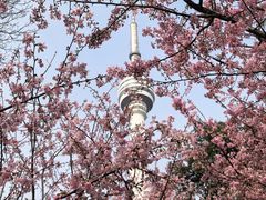 -龟山风景区-龟山电视塔