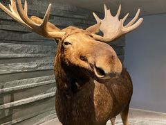 -上海自然博物馆