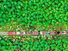 -洪湖生态旅游区