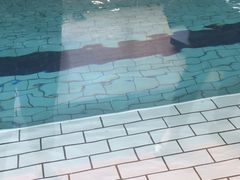 -W FITNESS 威尔仕健身·游泳(七宝店)