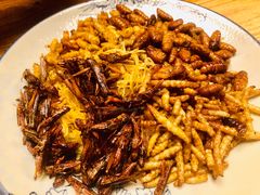 -缘生态云南菜·野生菌庭院餐厅(华侨城店)