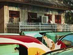 -达活泉公园
