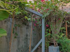 -时光花园(白鹭洲店)