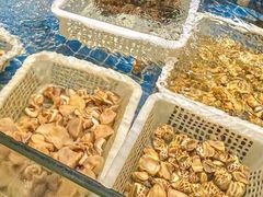 -小时候焗海鲜(鄞州万达店)