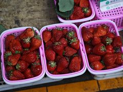 -大观篆新农贸市场