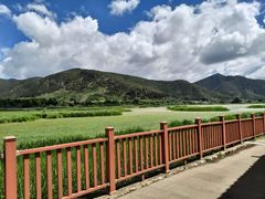 -泸沽湖国家级风景名胜区走婚桥