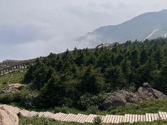 -白草畔自然风景区