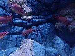 -成都浩海立方海洋公园