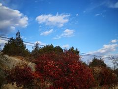 -蟒山国家森林公园天池停车场
