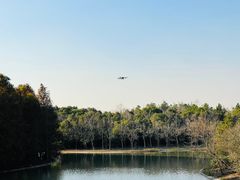 -上海海湾国家森林公园