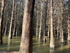 -捞渔河湿地公园