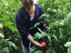 -万源龙顺度假庄园生态观光园