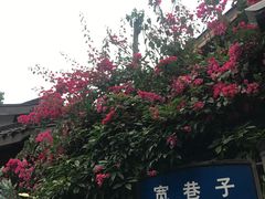 -见山书院