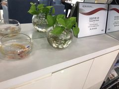 -泰康拜博口腔(华发门诊)