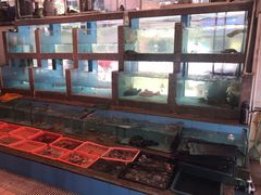 水产区-光兴海鲜排档·小炒(莱利园店)