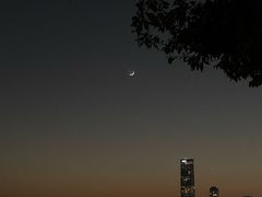 -深圳湾公园(南山区)