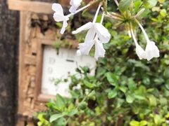 -悦哉·派对·草坪婚礼·围炉煮茶(三圣乡店)