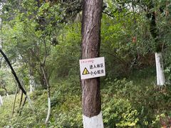 -富乐山