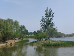 -东郊湿地公园
