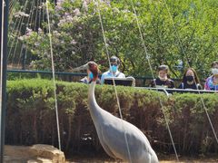 -大连森林动物园