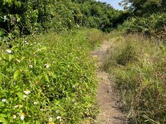 -天鹿湖森林公园