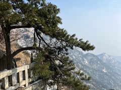 -泰山风景名胜区