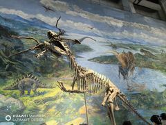 -自贡恐龙博物馆