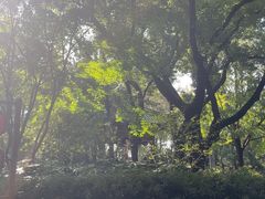 -汇龙潭