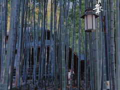 -宝岩生态观光园