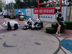 -盒马鲜生(红莲店)