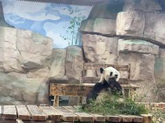 -无锡动物园·太湖欢乐园