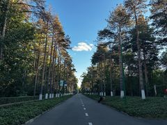 -黑龙江省森林植物园