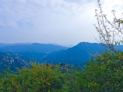 -大岭沟猕猴桃谷风景区