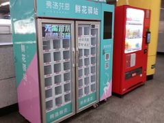 -海淀黄庄(地铁站)