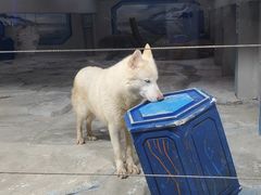 -大连圣亚海洋世界