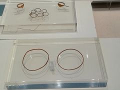 -合浦汉代文化博物馆