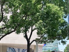 -上海明天广场JW万豪酒店