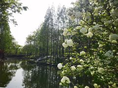 -大宁公园